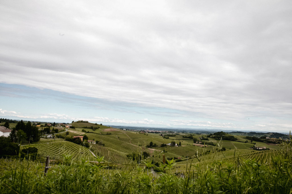 Le colline del Monferrato